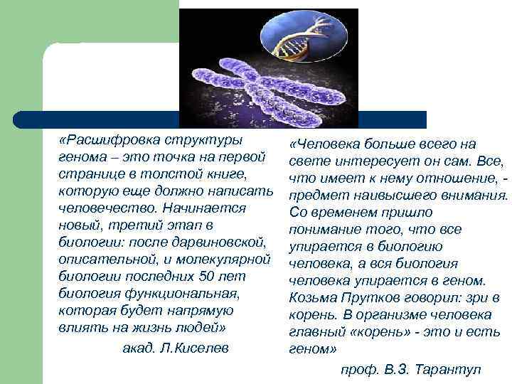  «Расшифровка структуры генома – это точка на первой странице в толстой книге, которую