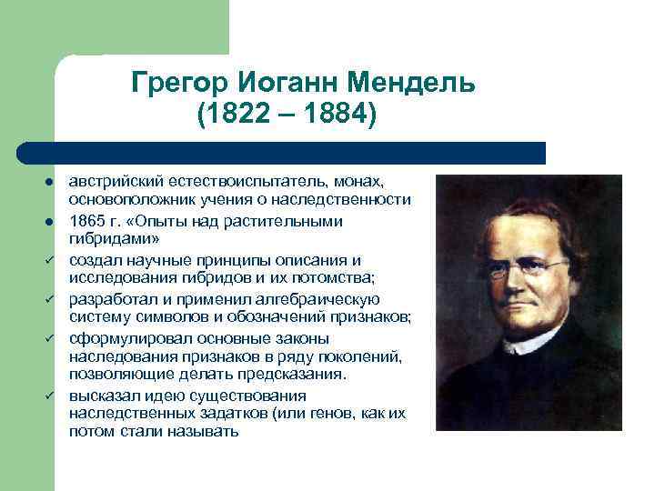 Грегор Иоганн Мендель (1822 – 1884) l l ü ü австрийский естествоиспытатель, монах, основоположник