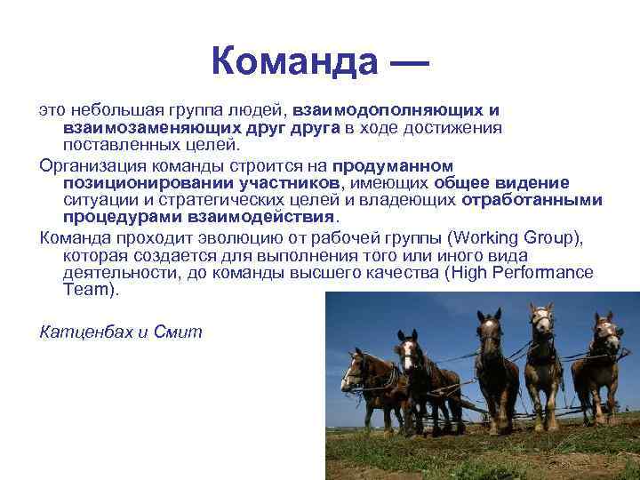 Что общего имеют народы. Команда. Коменда. Команда в организации. Группа людей взаимодополняющих.