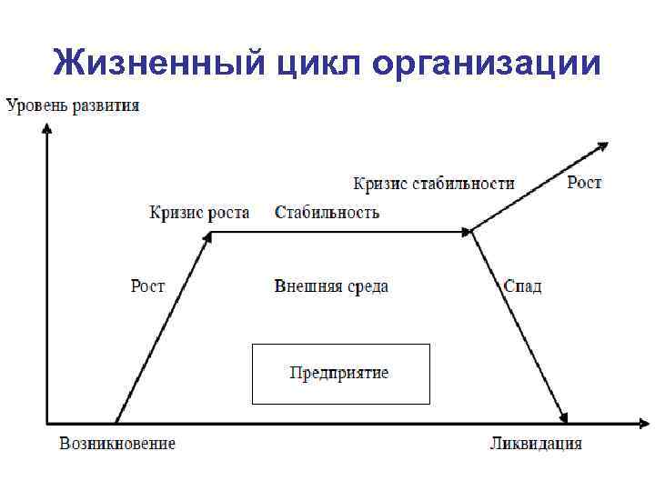 Проведенный цикл