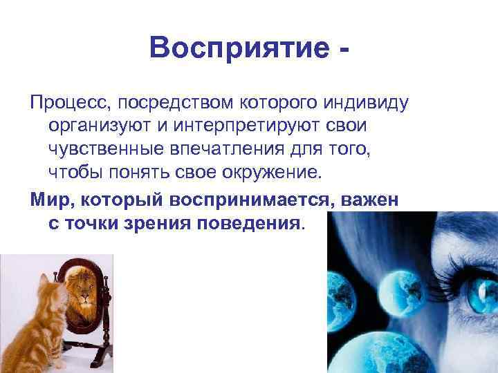 Восприятие Процесс, посредством которого индивиду организуют и интерпретируют свои чувственные впечатления для того, чтобы