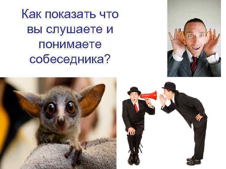 Как показать что вы слушаете и понимаете собеседника? 