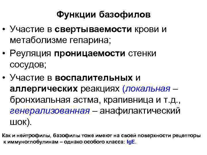 Функции базофилов • Участие в свертываемости крови и метаболизме гепарина; • Реуляция проницаемости стенки