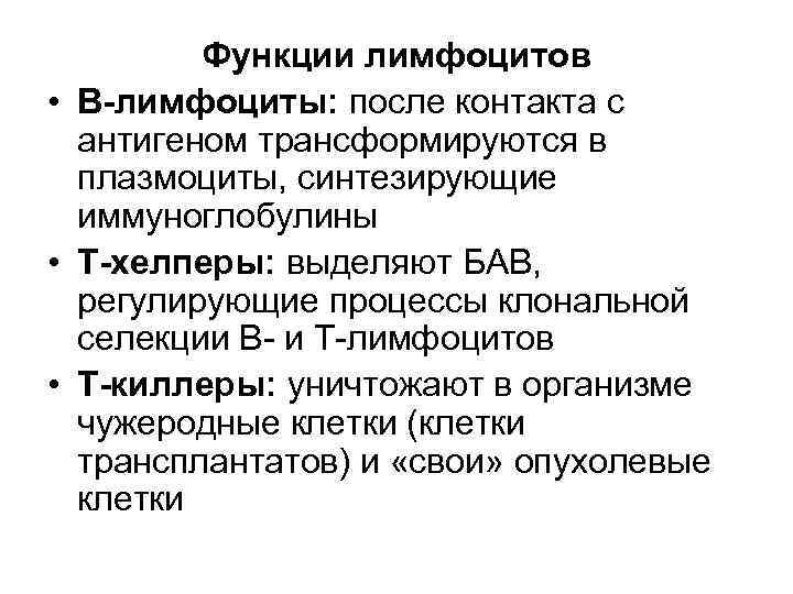 Функции лимфоцитов • В-лимфоциты: после контакта с антигеном трансформируются в плазмоциты, синтезирующие иммуноглобулины •