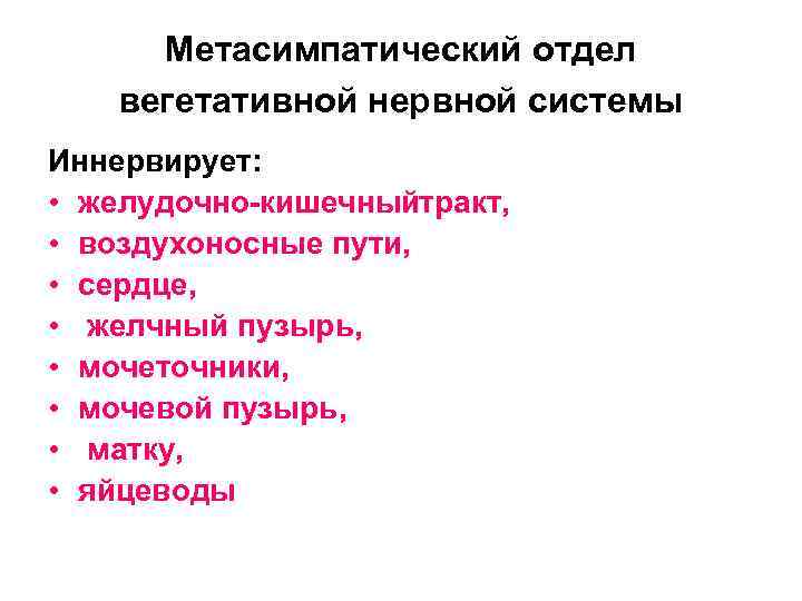 Метасимпатический отдел вегетативной нервной системы Иннервирует: • желудочно кишечный тракт, • воздухоносные пути, •