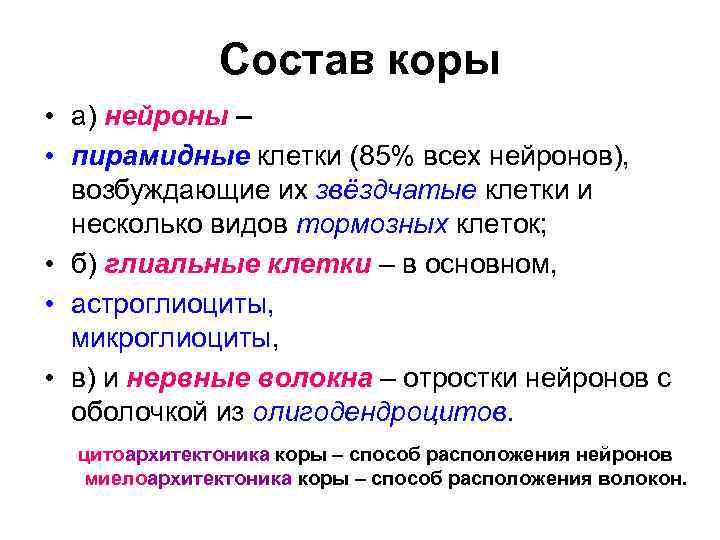 Состав коры • а) нейроны – • пирамидные клетки (85% всех нейронов), возбуждающие их