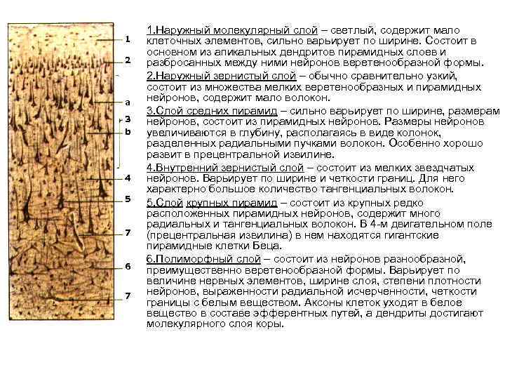  • 1 2 • a • 3 b • 4 5 • 7