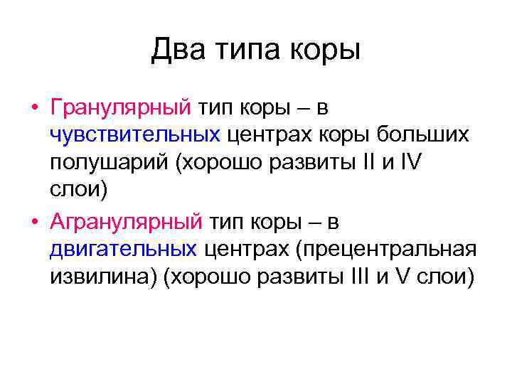 Два типа коры • Гранулярный тип коры – в чувствительных центрах коры больших полушарий