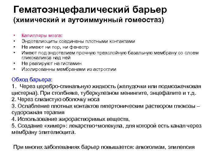 Гематоэнцефалический барьер (химический и аутоиммунный гомеостаз) • • • Капилляры мозга: Эндотелиоциты соединены плотными