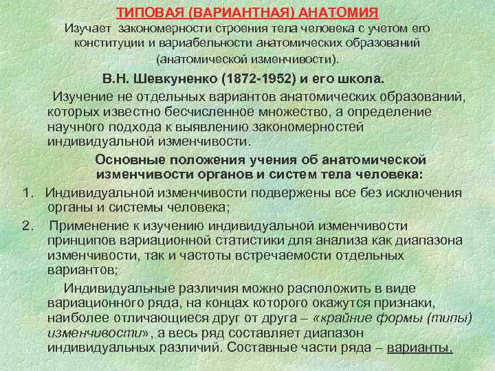  ТИПОВАЯ (ВАРИАНТНАЯ) АНАТОМИЯ Изучает закономерности строения тела человека с учетом его конституции и