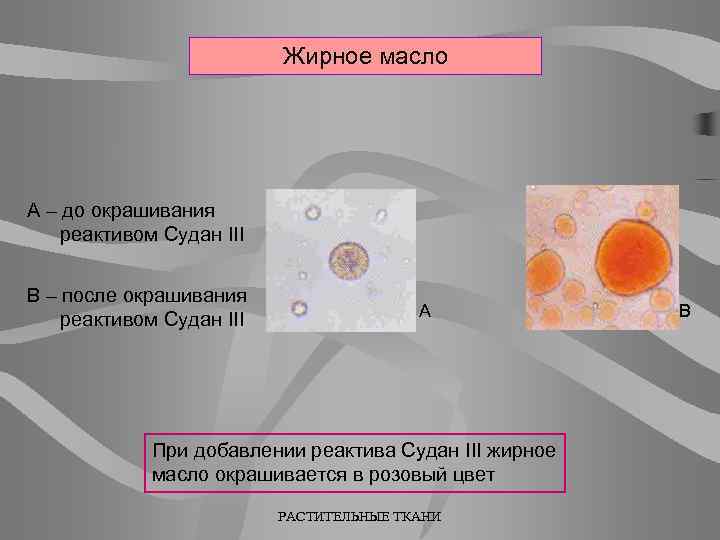 Проба судан 3 проводится для определения остатков. Качественные реакции на жирные масла. Реакция с Суданом 3.