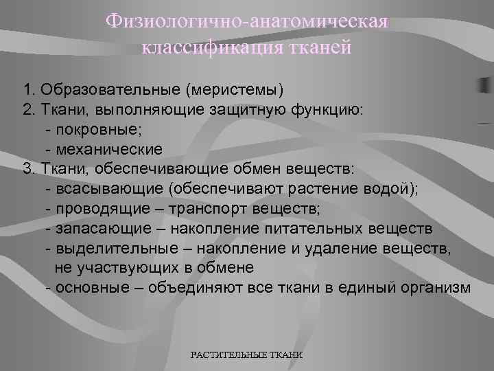 Физиологично-анатомическая классификация тканей 1. Образовательные (меристемы) 2. Ткани, выполняющие защитную функцию: - покровные; -