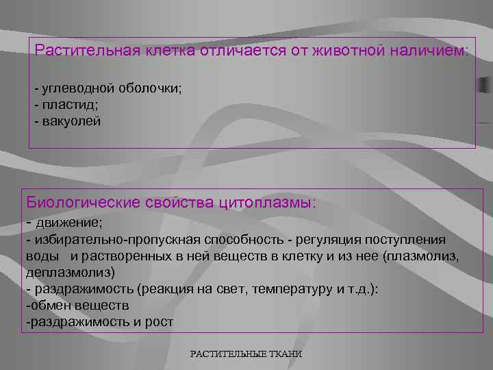 Растительная клетка отличается от животной наличием: - углеводной оболочки; - пластид; - вакуолей Биологические