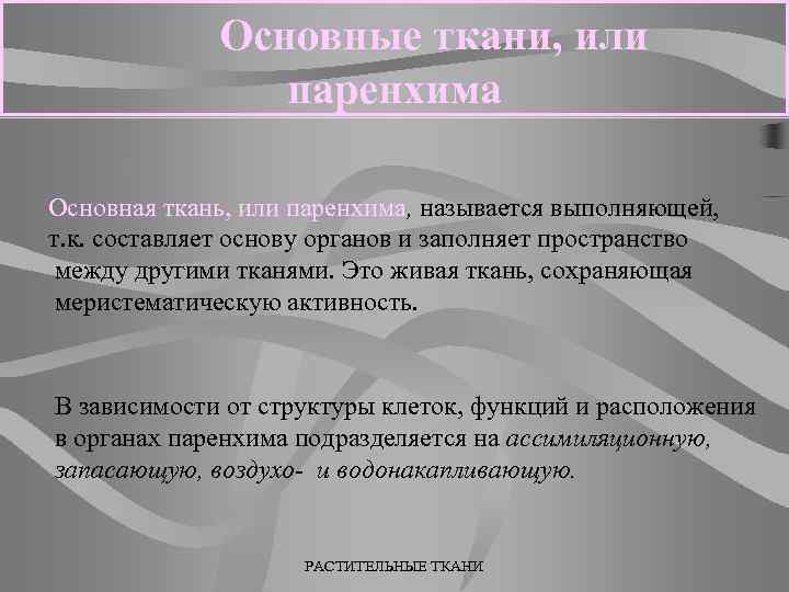 Основные ткани, или паренхима Основная ткань, или паренхима, называется выполняющей, т. к. составляет основу