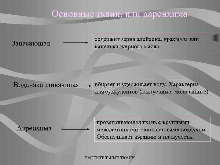 Основные ткани, или паренхима Запасающая содержит зерна алейрона, крахмала или капельки жирного масла. Воданакапливающая