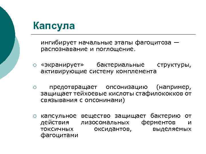 Капсула ингибирует начальные этапы фагоцитоза — распознавание и поглощение. ¡ «экранирует» бактериальные структуры, активирующие