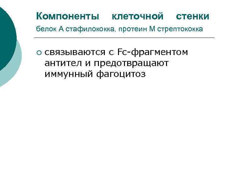 Компоненты клеточной стенки белок А стафилококка, протеин М стрептококка ¡ связываются с Fc-фрагментом антител