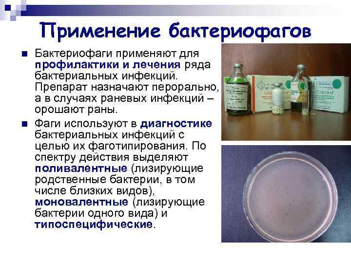 Применение бактериофагов n n Бактериофаги применяют для профилактики и лечения ряда бактериальных инфекций. Препарат