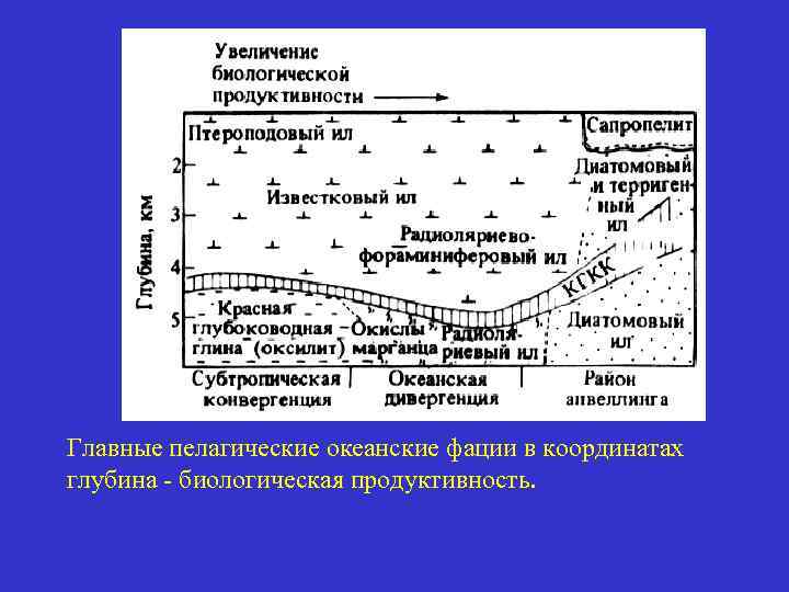 Главные пелагические океанские фации в координатах глубина - биологическая продуктивность. 