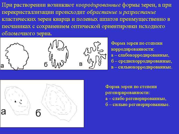 При растворении возникают коородированные формы зерен, а при перекристаллизации происходит обрастание и разрастание кластических