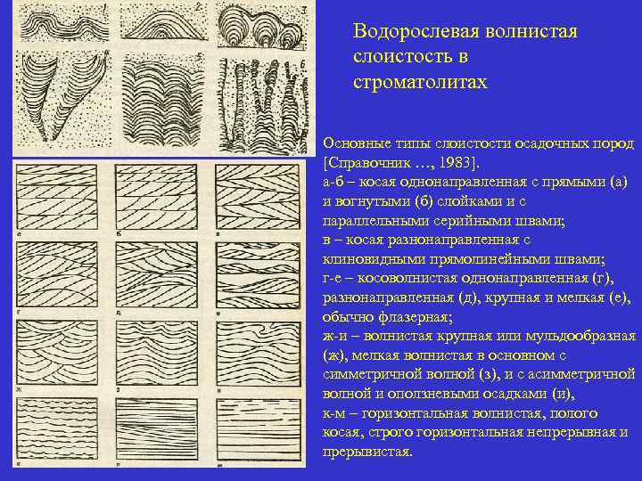 Водорослевая волнистая слоистость в строматолитах Основные типы слоистости осадочных пород [Справочник …, 1983]. а-б