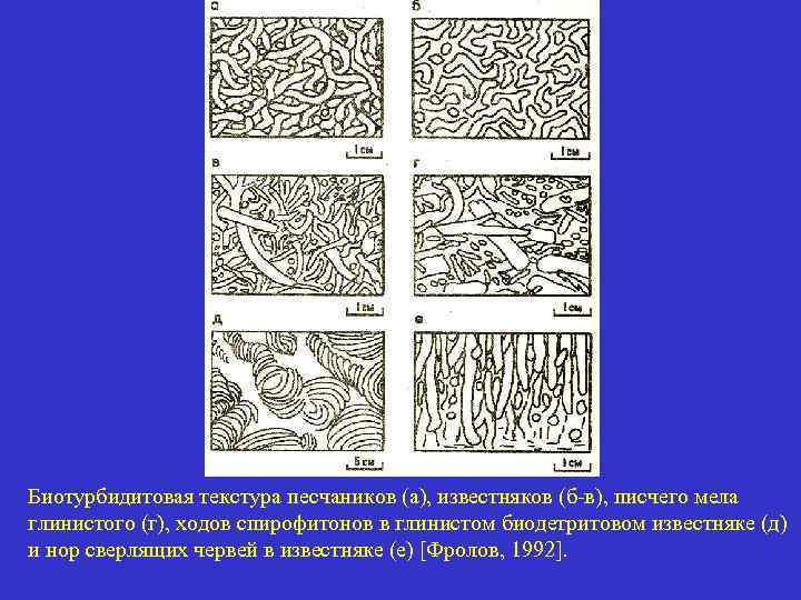 Биотурбидитовая текстура песчаников (а), известняков (б-в), писчего мела глинистого (г), ходов спирофитонов в глинистом