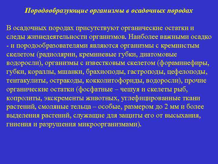 Породообразующие организмы в осадочных породах В осадочных породах присутствуют органические остатки и следы жизнедеятельности