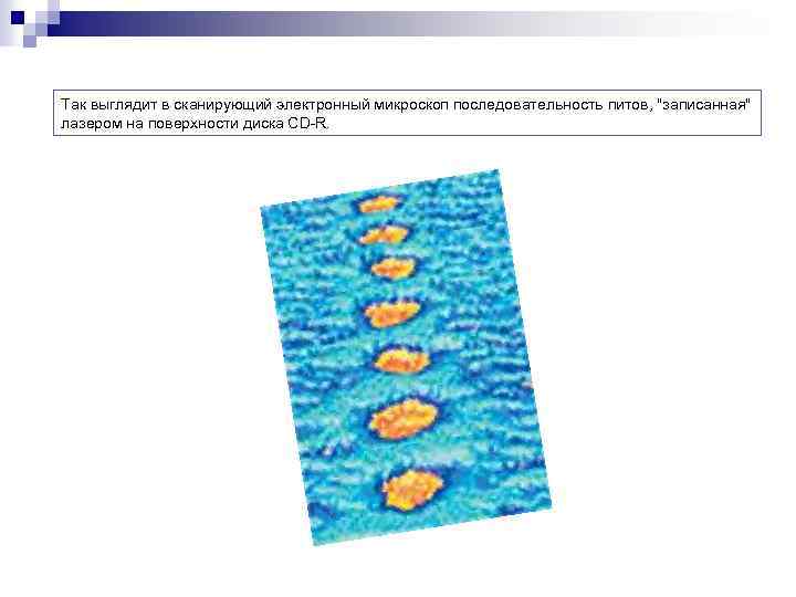 Так выглядит в сканирующий электронный микроскоп последовательность питов, 