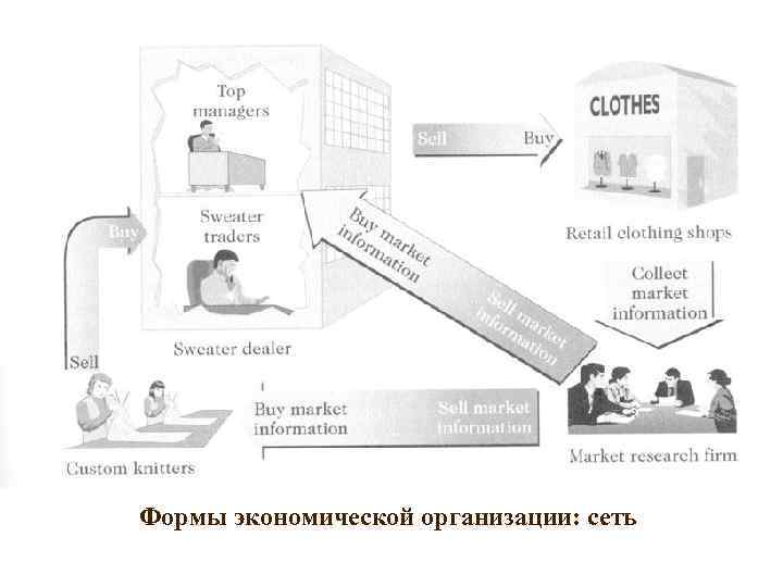 Формы экономической организации: сеть 