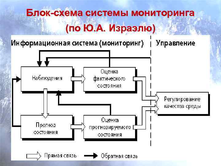 Блок-схема системы мониторинга (по Ю. А. Израэлю) 