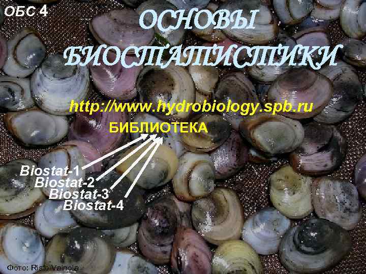 ОБС 4 ОСНОВЫ БИОСТАТИСТИКИ http: //www. hydrobiology. spb. ru БИБЛИОТЕКА Biostat-1 Biostat-2 Biostat-3 Biostat-4