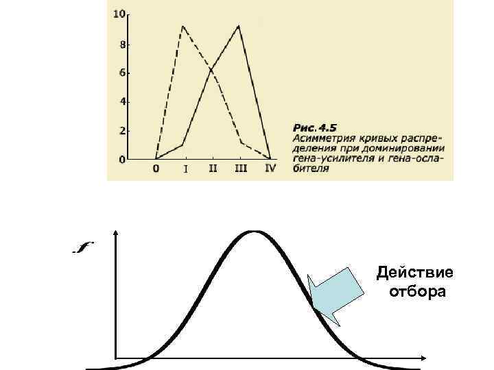 Действие отбора 