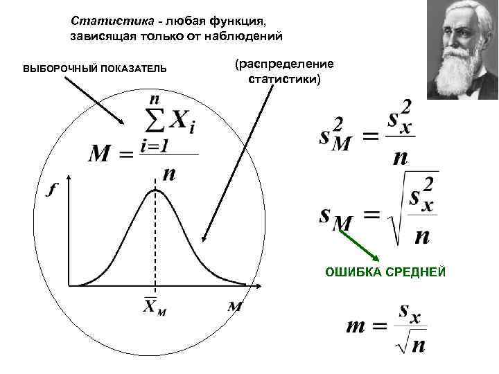 Статистика - любая функция, зависящая только от наблюдений ВЫБОРОЧНЫЙ ПОКАЗАТЕЛЬ (распределение статистики) ОШИБКА СРЕДНЕЙ