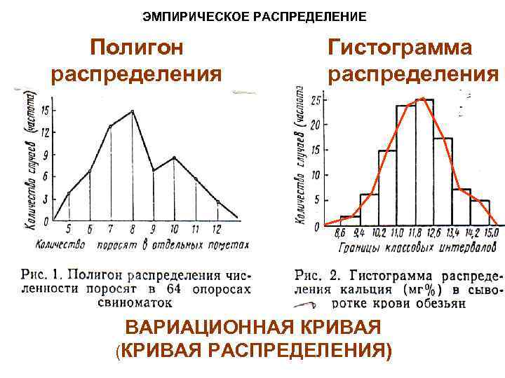 Графические изображения в статистике