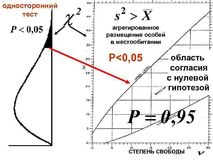 односторонний тест агрегированное размещение особей в местообитании P<0, 05 область согласия с нулевой гипотезой