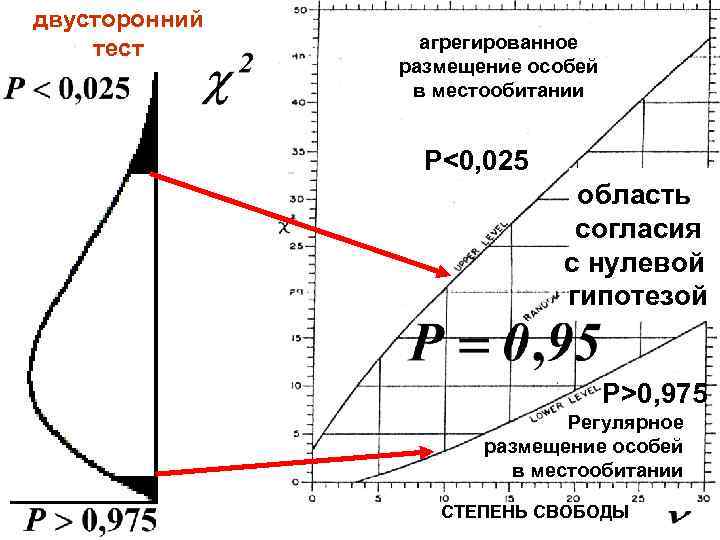 двусторонний тест агрегированное размещение особей в местообитании P<0, 025 область согласия с нулевой гипотезой