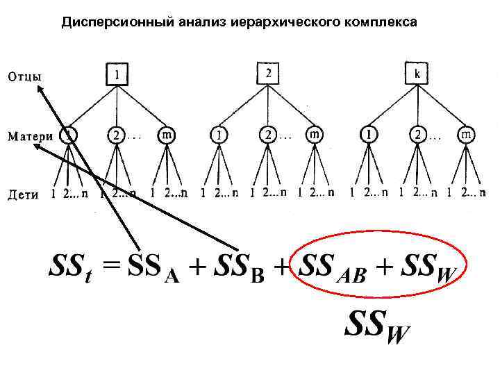 Дисперсионный анализ иерархического комплекса 