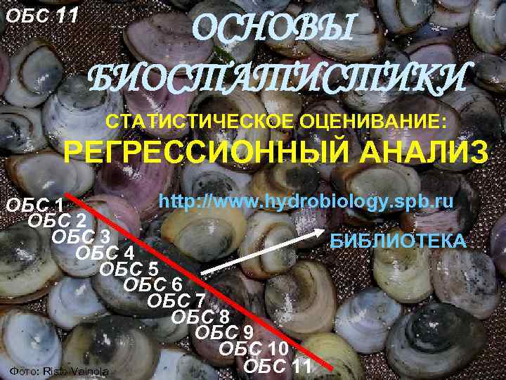 ОБС 11 ОСНОВЫ БИОСТАТИСТИКИ СТАТИСТИЧЕСКОЕ ОЦЕНИВАНИЕ: РЕГРЕССИОННЫЙ АНАЛИЗ http: //www. hydrobiology. spb. ru ОБС