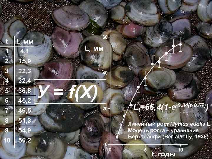 t L, мм 1 4, 1 2 15, 9 3 22, 3 4 32,