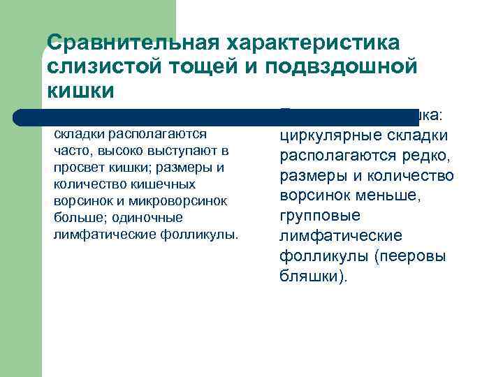 Сравнительная характеристика слизистой тощей и подвздошной кишки l Тощая кишка: циркулярные складки располагаются часто,