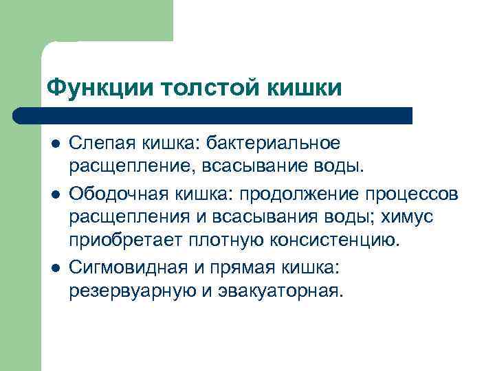 Функции толстой кишки l l l Слепая кишка: бактериальное расщепление, всасывание воды. Ободочная кишка: