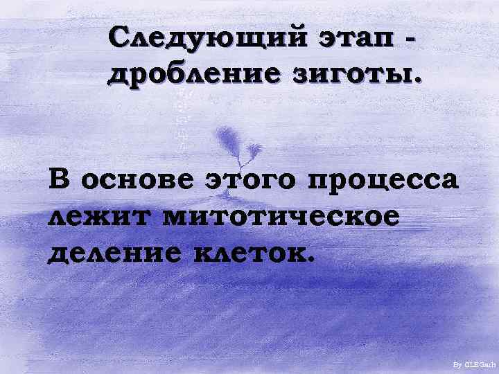 Следующий этап дробление зиготы. В основе этого процесса лежит митотическое деление клеток. By OLEGarh