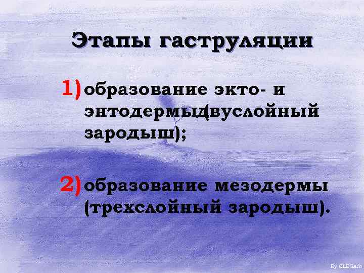 Этапы гаструляции 1) образование экто- и энтодермыдвуслойный ( зародыш); 2) образование мезодермы (трехслойный зародыш).