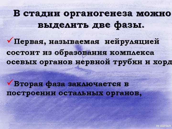 В стадии органогенеза можно выделить две фазы. üПервая, называемая нейруляцией состоит из образования комплекса