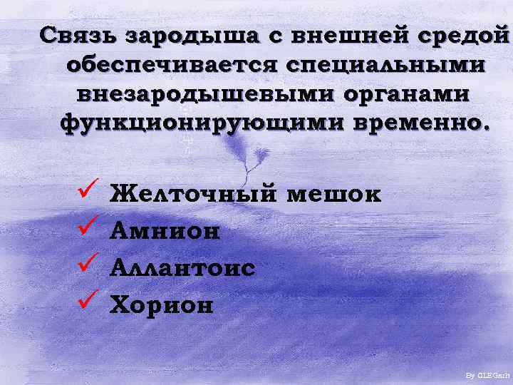 Связь зародыша с внешней средой обеспечивается специальными внезародышевыми органами функционирующими временно. ü ü Желточный