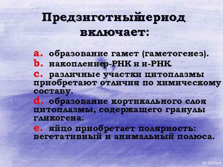 Предзиготный период включает: a. образование гамет (гаметогенез). b. накоплениер-РНК и и-РНК. c. различные участки