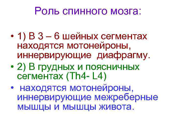 Роль спинного мозга: • 1) В 3 – 6 шейных сегментах находятся мотонейроны, иннервирующие