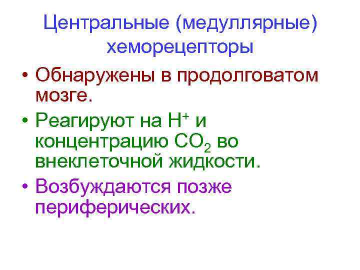 Центральные (медуллярные) хеморецепторы • Обнаружены в продолговатом мозге. • Реагируют на Н+ и концентрацию