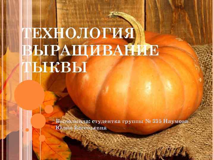 ТЕХНОЛОГИЯ ВЫРАЩИВАНИЕ ТЫКВЫ Выполнила: студентка группы № 335 Наумова Юлия Евгеньевна 