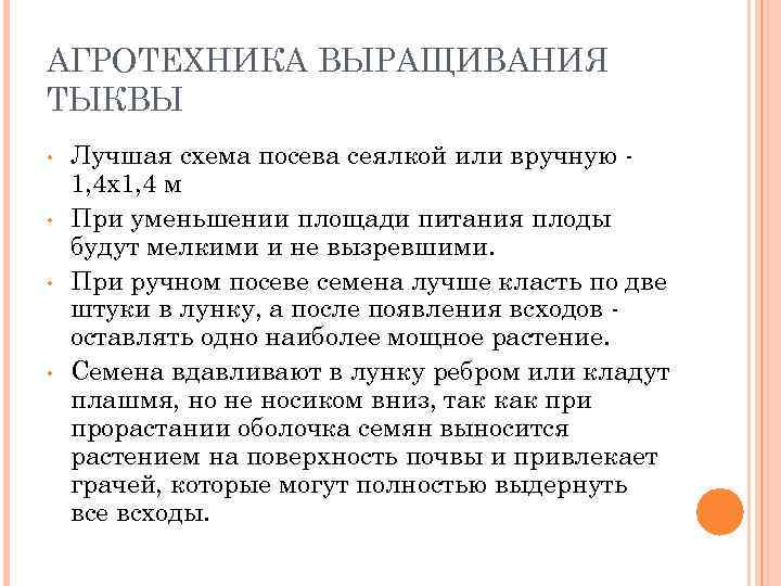 АГРОТЕХНИКА ВЫРАЩИВАНИЯ ТЫКВЫ • • Лучшая схема посева сеялкой или вручную 1, 4 х1,